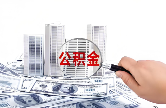 嘉兴在职公积金代办服务-便捷高效，助力您的公积金管理