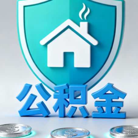嘉兴公积金代办行业观察：谁在提供专业服务？