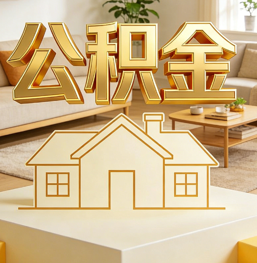 嘉兴活就业人员涌入公积金体系，代办服务迎来“新蓝海”